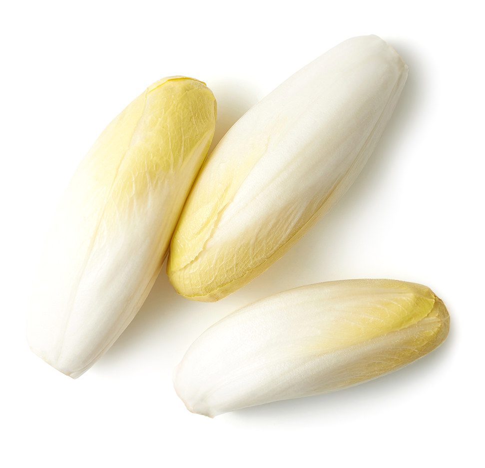 Belgian Endive Image