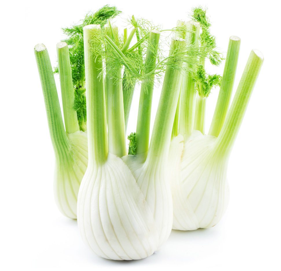 Fennel Image