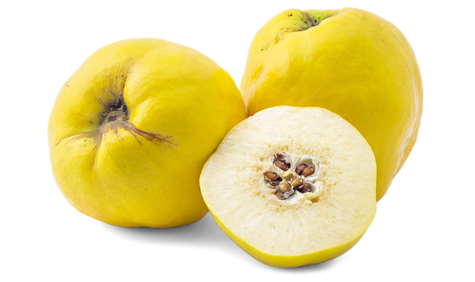 Quince Image