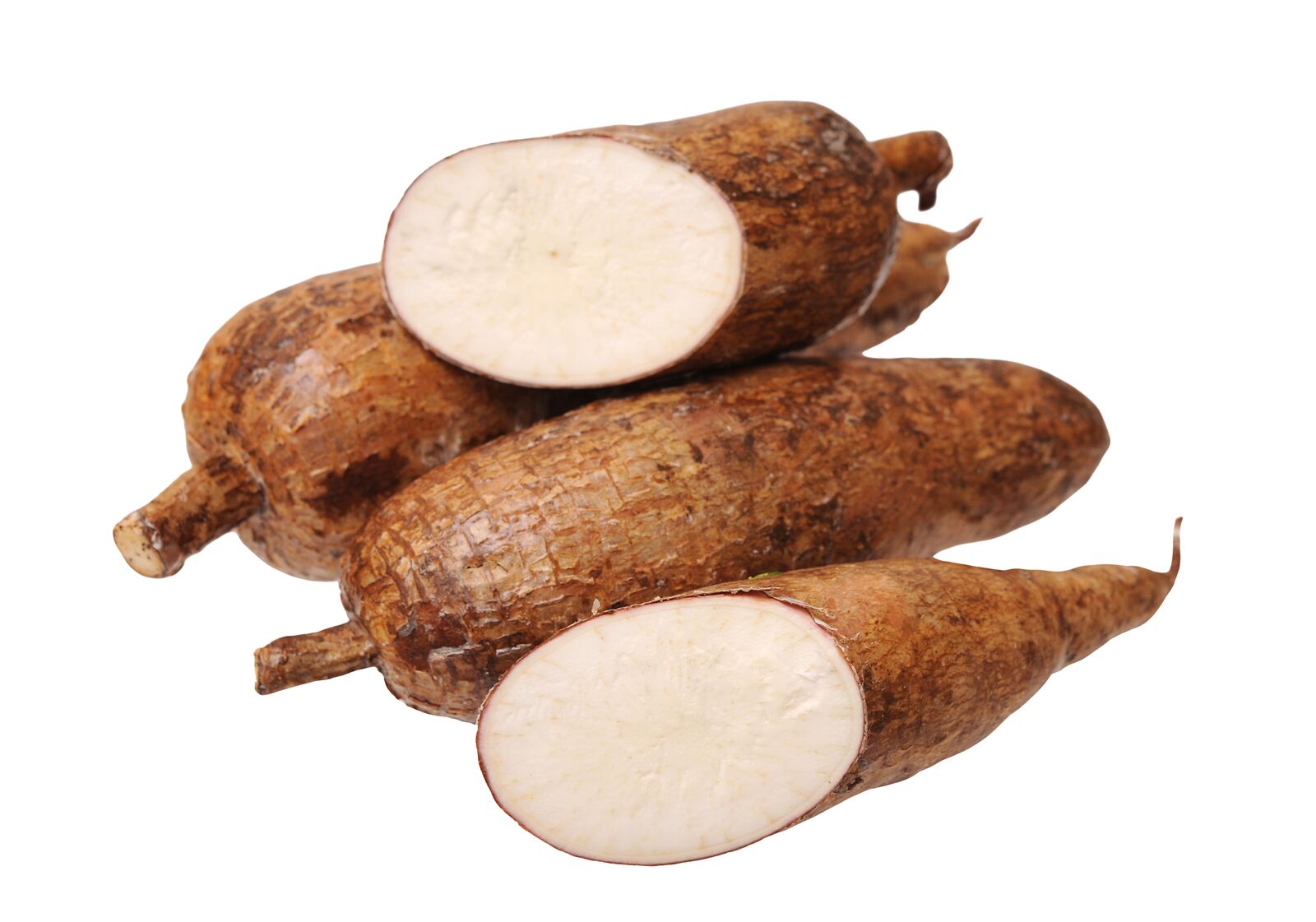 Yuca Root Image