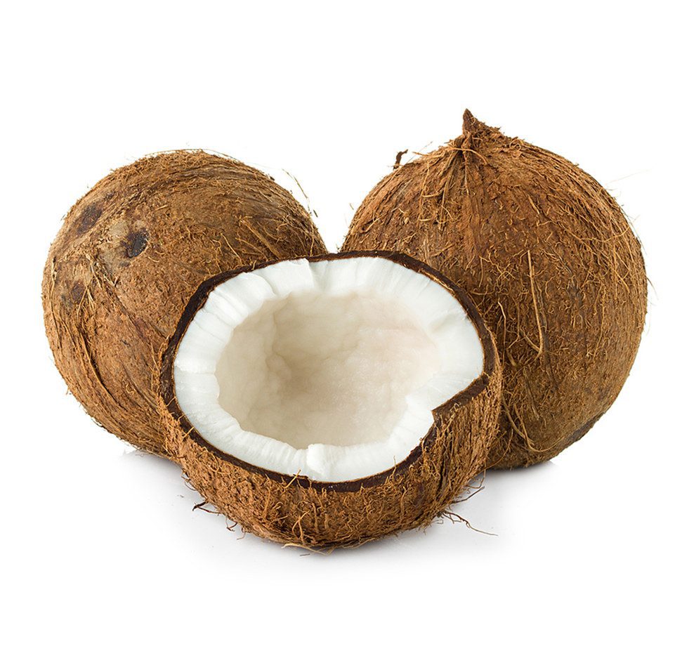Coconuts Coconuts