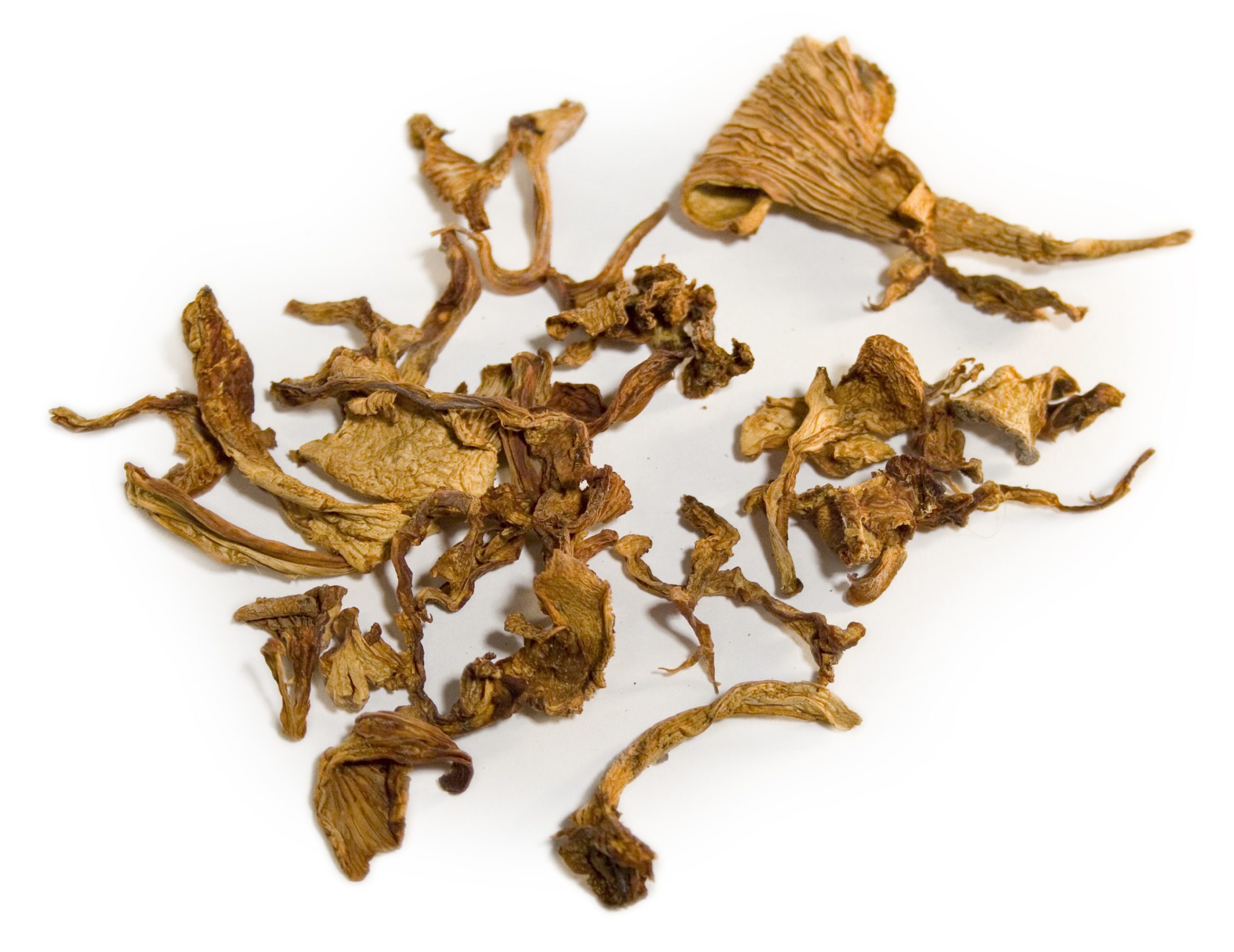 Dried Chanterelle Mushrooms Image