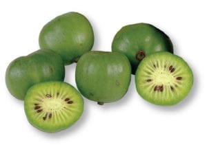 Frieda's Specialty Produce - Kiwi Berries