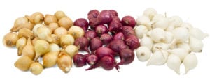 Frieda's Specialty Produce - Pearl Onions